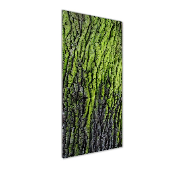 Fotocuadro de cristal elegante para hogar vertical corteza de árbol