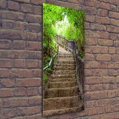 Fotocuadro de cristal elegante para hogar vertical Escaleras en el bosque