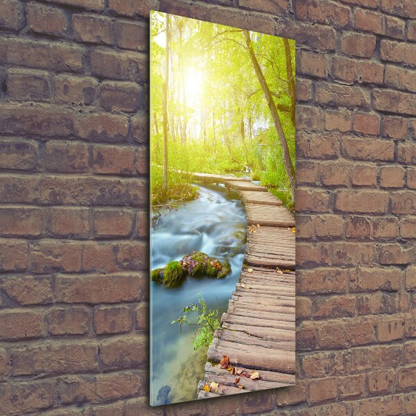 Cuadro de cristal moderno efecto brillo vertical Camino en el bosque