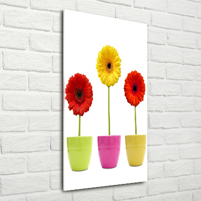 Cuadro decorativo en cristal con canto pulido vertical Gerberas de colores