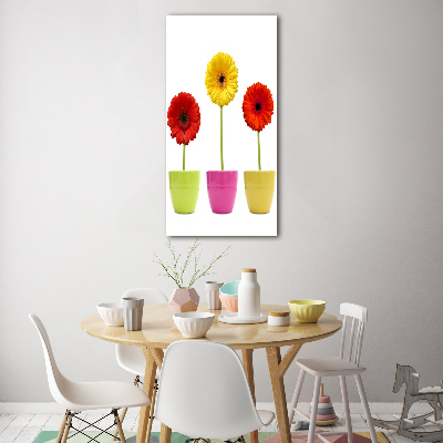Cuadro decorativo en cristal con canto pulido vertical Gerberas de colores