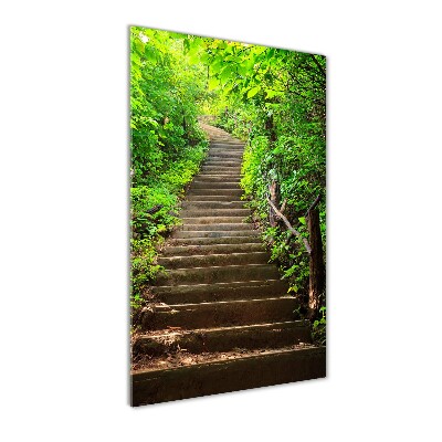 Cuadro de vidrio templado 4mm para pared vertical Escaleras al bosque
