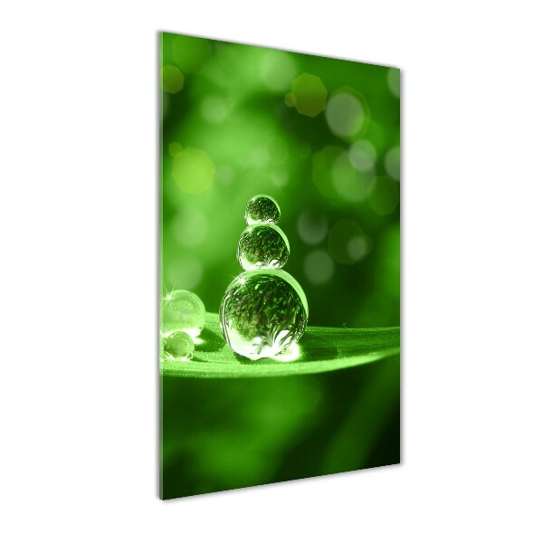 Fotocuadro de cristal elegante para hogar vertical Gotas sobre la hierba