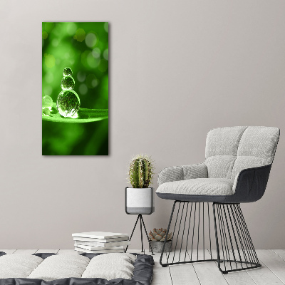 Fotocuadro de cristal elegante para hogar vertical Gotas sobre la hierba