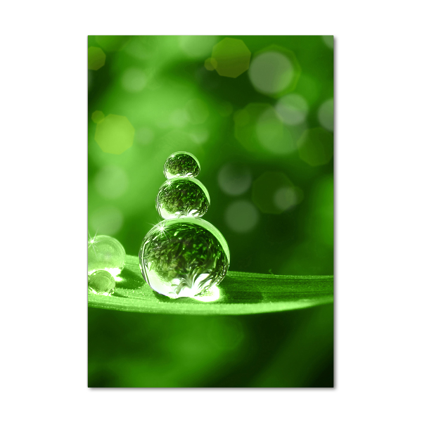 Fotocuadro de cristal elegante para hogar vertical Gotas sobre la hierba