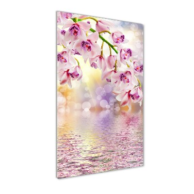 Cuadro de vidrio templado 4mm para pared vertical Orquídea