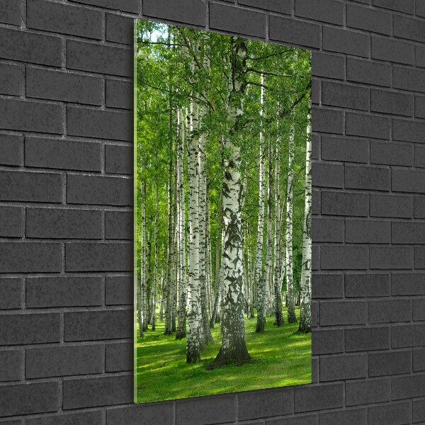 Fotocuadro de cristal elegante para hogar vertical bosque de abedules