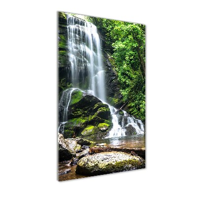 Cuadro decorativo en cristal con canto pulido vertical Cascada en la selva