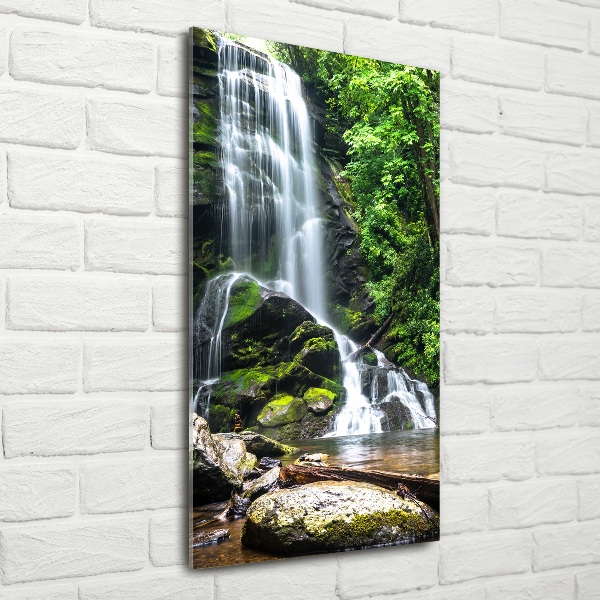 Cuadro decorativo en cristal con canto pulido vertical Cascada en la selva