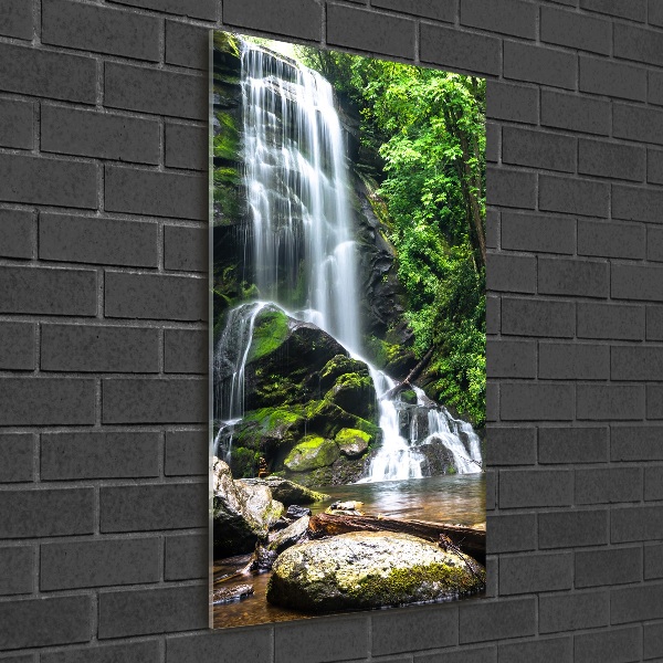 Cuadro decorativo en cristal con canto pulido vertical Cascada en la selva