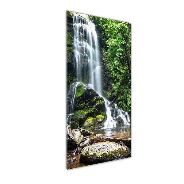 Cuadro decorativo en cristal con canto pulido vertical Cascada en la selva