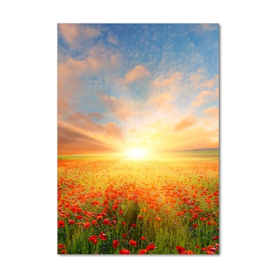 Cuadro de vidrio templado 4mm para pared vertical Campo de amapolas