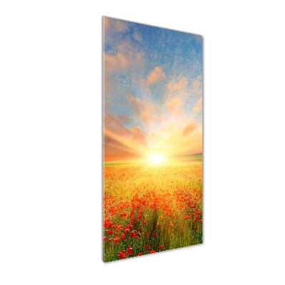Cuadro de vidrio templado 4mm para pared vertical Campo de amapolas