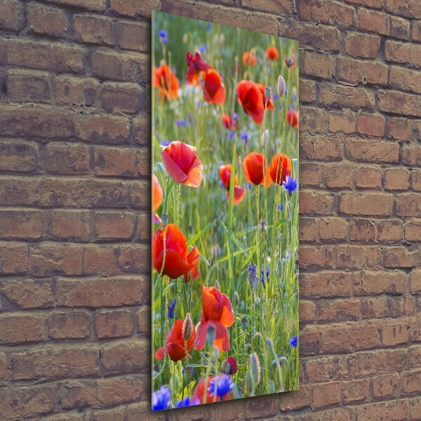 Cuadro decorativo en cristal con canto pulido vertical Amapolas de campo