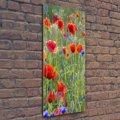 Cuadro decorativo en cristal con canto pulido vertical Amapolas de campo