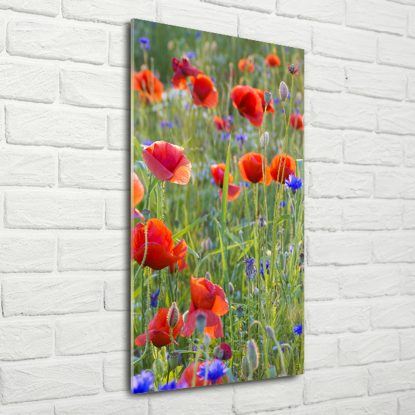 Cuadro decorativo en cristal con canto pulido vertical Amapolas de campo