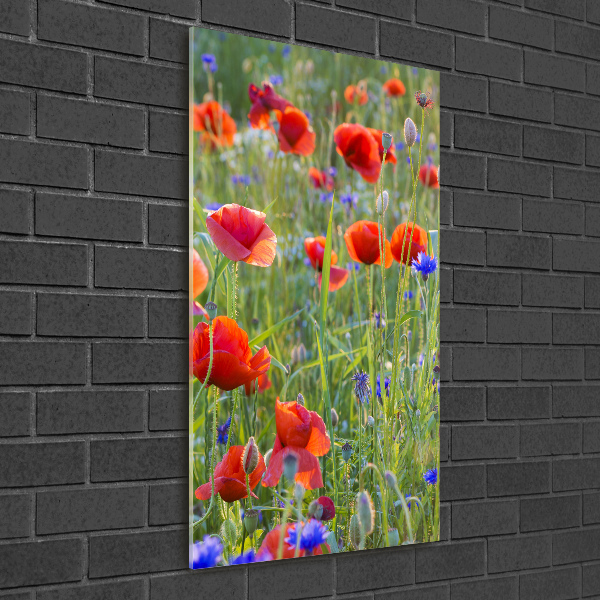 Cuadro decorativo en cristal con canto pulido vertical Amapolas de campo