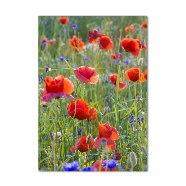Cuadro decorativo en cristal con canto pulido vertical Amapolas de campo
