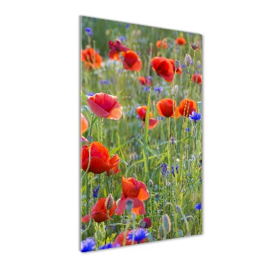 Cuadro decorativo en cristal con canto pulido vertical Amapolas de campo