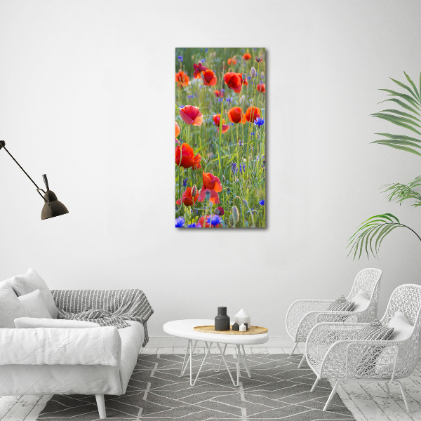 Cuadro decorativo en cristal con canto pulido vertical Amapolas de campo