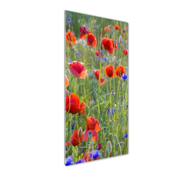 Cuadro decorativo en cristal con canto pulido vertical Amapolas de campo