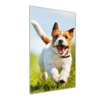 Fotocuadro de cristal elegante para hogar vertical perro Jack Russell