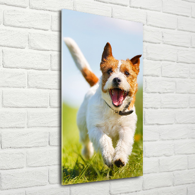 Fotocuadro de cristal elegante para hogar vertical perro Jack Russell