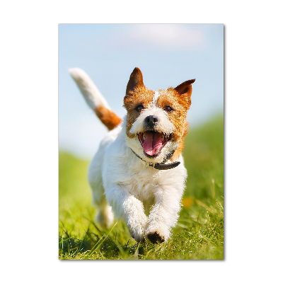 Fotocuadro de cristal elegante para hogar vertical perro Jack Russell