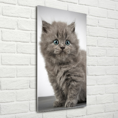 Cuadro decorativo en cristal con canto pulido vertical Gato británico gris