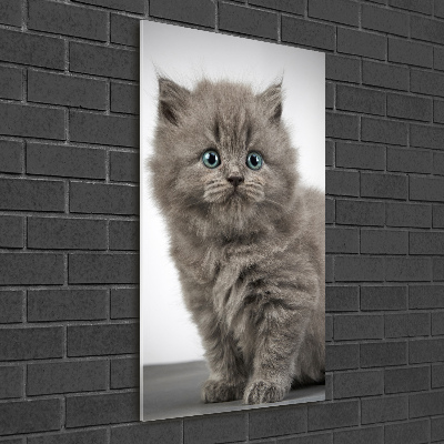 Cuadro decorativo en cristal con canto pulido vertical Gato británico gris