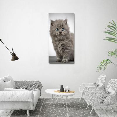 Cuadro decorativo en cristal con canto pulido vertical Gato británico gris