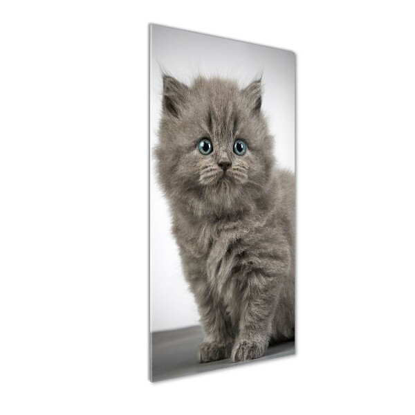 Cuadro decorativo en cristal con canto pulido vertical Gato británico gris