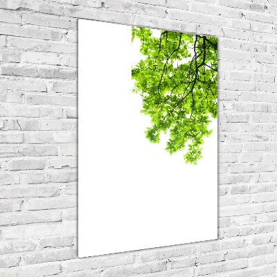 Cuadro decorativo en cristal con canto pulido vertical Corona del árbol