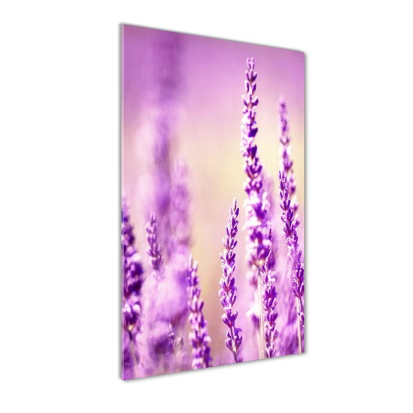 Cuadro de cristal moderno efecto brillo vertical Lavanda