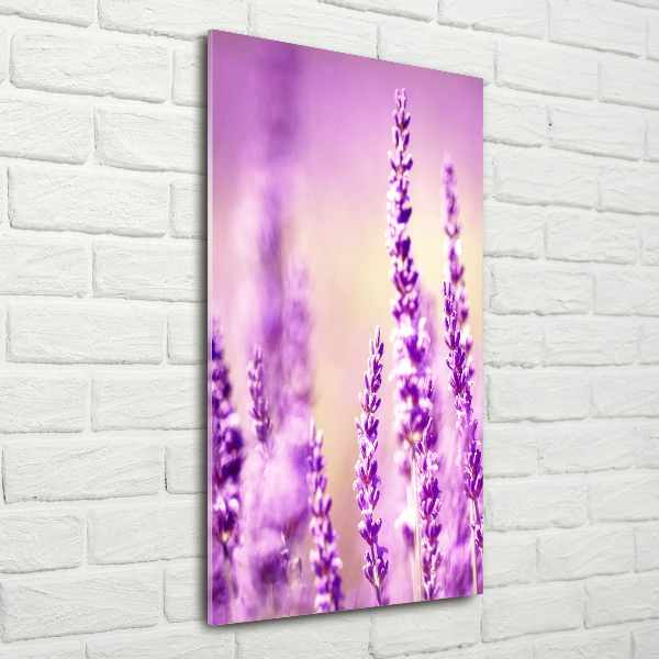 Cuadro de cristal moderno efecto brillo vertical Lavanda