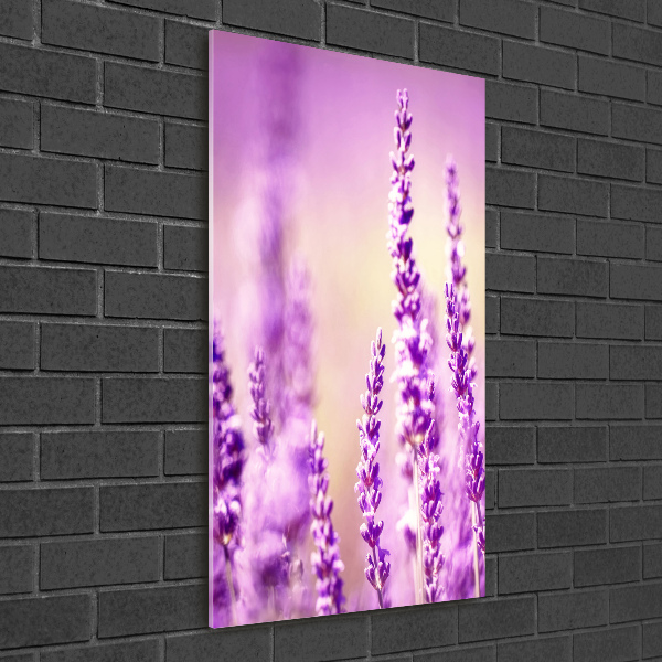 Cuadro de cristal moderno efecto brillo vertical Lavanda