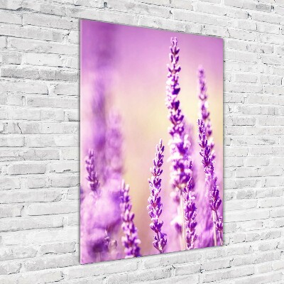 Cuadro de cristal moderno efecto brillo vertical Lavanda