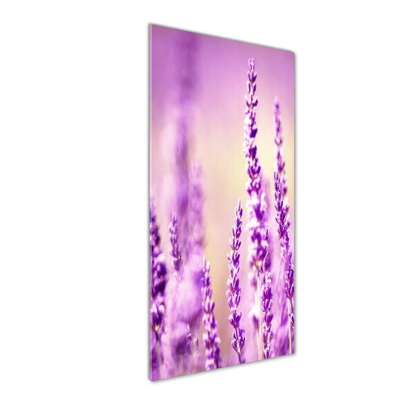 Cuadro de cristal moderno efecto brillo vertical Lavanda