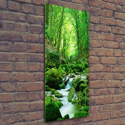 Cuadro de cristal moderno efecto brillo vertical Un arroyo en la jungla