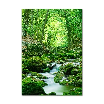 Cuadro de cristal moderno efecto brillo vertical Un arroyo en la jungla