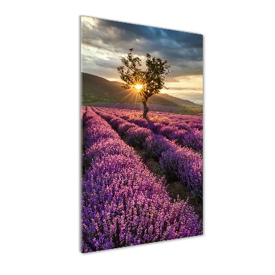 Cuadro de vidrio templado 4mm para pared vertical campo de lavanda