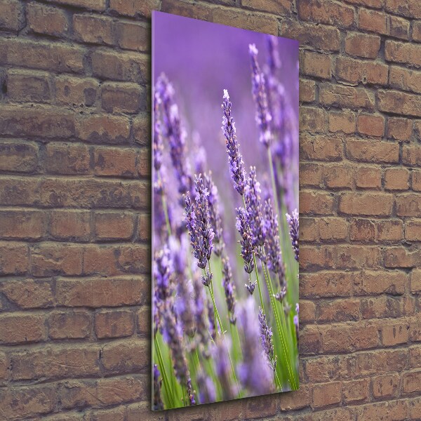 Fotocuadro de cristal elegante para hogar vertical campo de lavanda