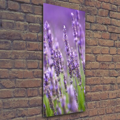Fotocuadro de cristal elegante para hogar vertical campo de lavanda