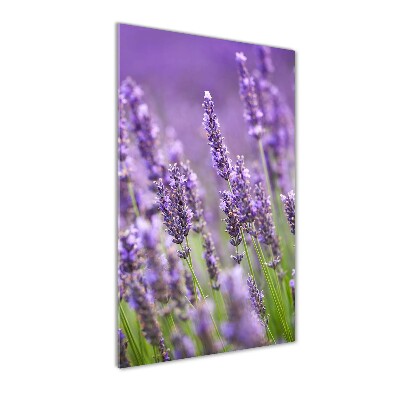 Fotocuadro de cristal elegante para hogar vertical campo de lavanda
