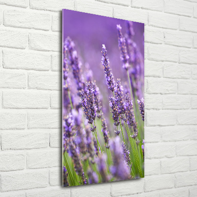 Fotocuadro de cristal elegante para hogar vertical campo de lavanda