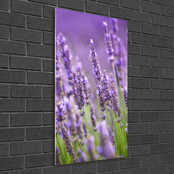 Fotocuadro de cristal elegante para hogar vertical campo de lavanda