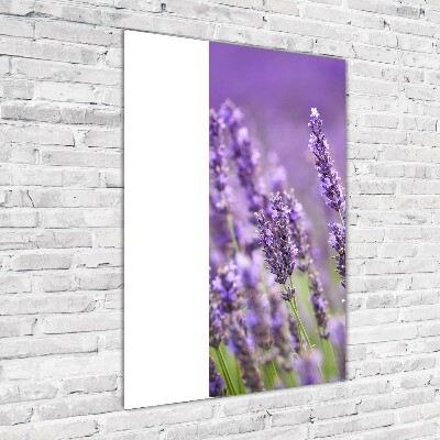 Fotocuadro de cristal elegante para hogar vertical campo de lavanda