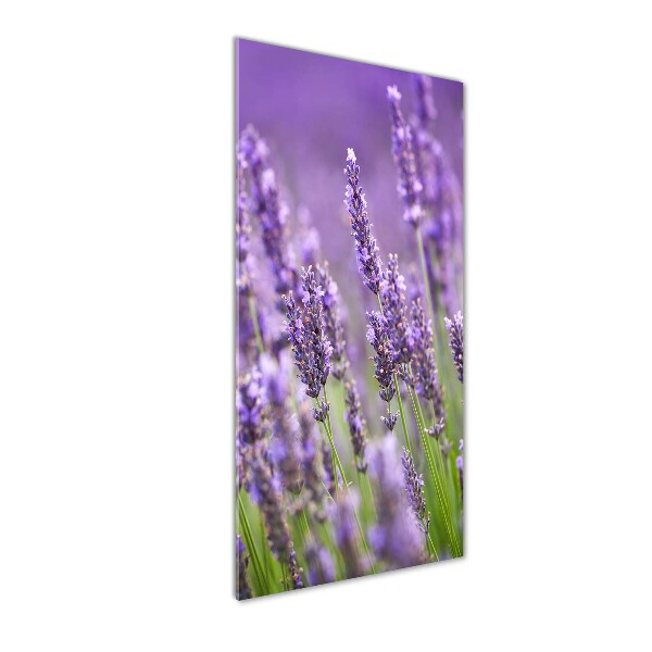 Fotocuadro de cristal elegante para hogar vertical campo de lavanda