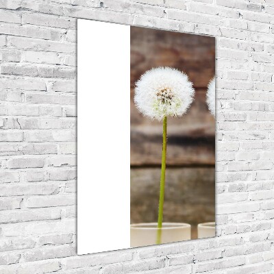 Fotocuadro de cristal elegante para hogar vertical Dientes de león