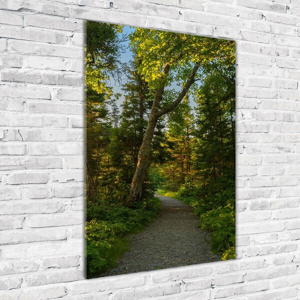 Cuadro decorativo en cristal con canto pulido vertical Camino en el bosque